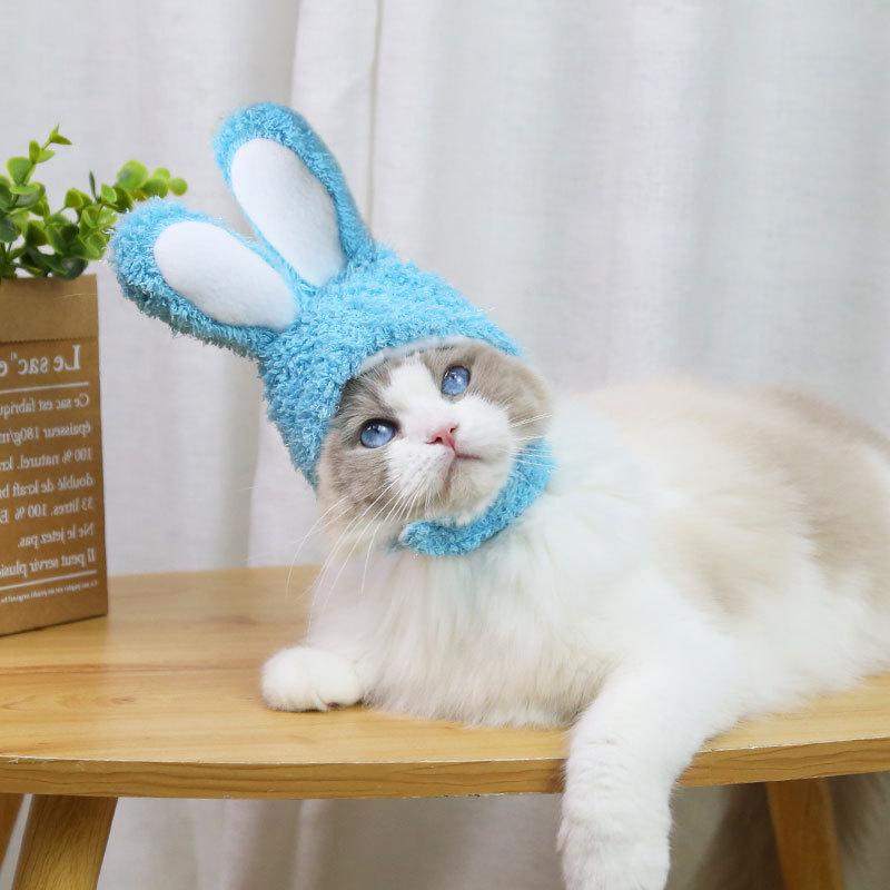RabbitHat™ - Accessoire de déguisement pour chat - Mondedematou.com