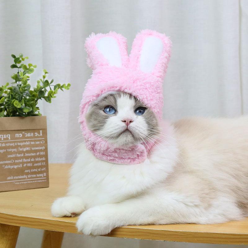 RabbitHat™ - Accessoire de déguisement pour chat - Mondedematou.com